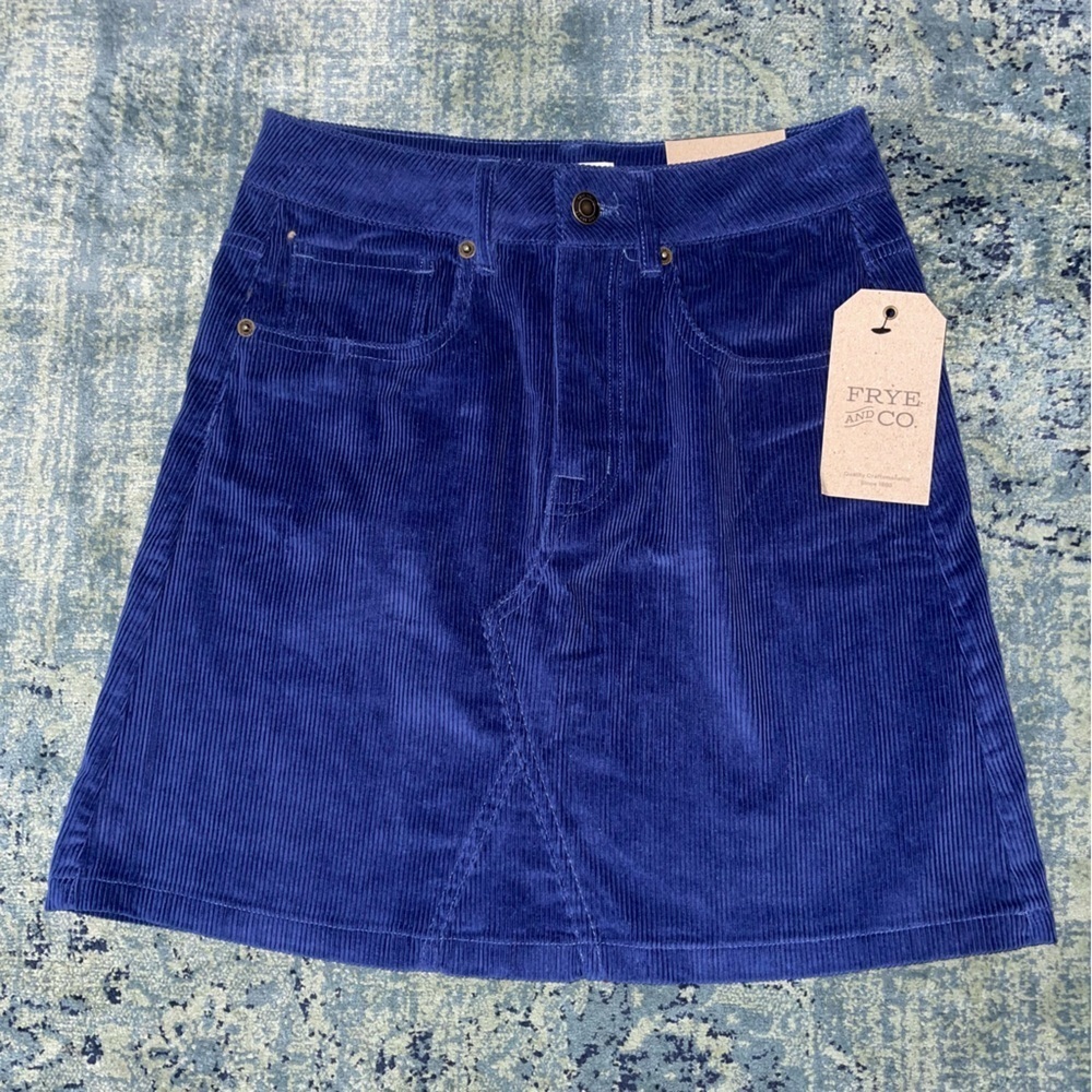 Frye and Co. Mini Skirt 2